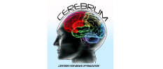 Cerebrum Centers